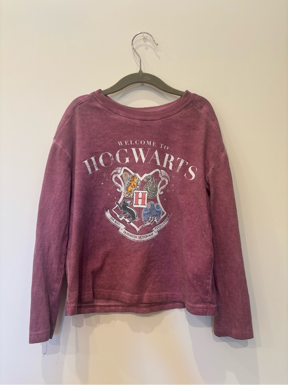 Kids Distressed Warner Bros. Hogwarts Crest Kids Pullover Long Sleeve - Maroon